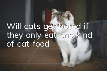 Will cats get bored if they only eat one kind of cat food?