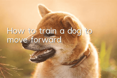 How to train a dog to move forward?