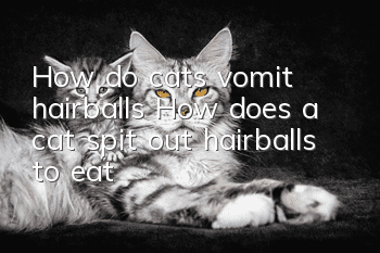 How do cats vomit hairballs? How does a cat spit out hairballs to eat?