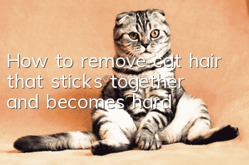 How to remove cat hair that sticks together and becomes hard?