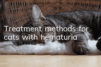 Treatment methods for cats with hematuria