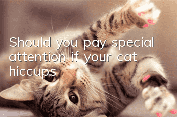 Should you pay special attention if your cat hiccups?