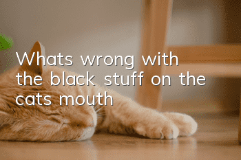 What's wrong with the black stuff on the cat's mouth?