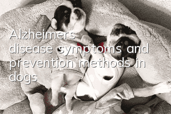 Alzheimer's disease symptoms and prevention methods in dogs