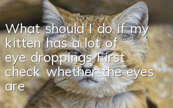 What should I do if my kitten has a lot of eye droppings? First check whether the eyes are injured.