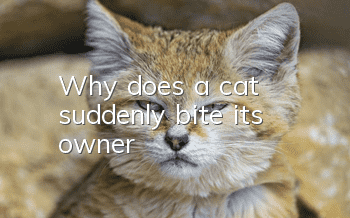 Why does a cat suddenly bite its owner?