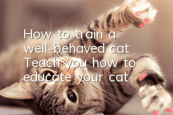 How to train a well-behaved cat? Teach you how to educate your cat!