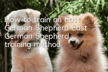 How to train an East German Shepherd? East German Shepherd training method!