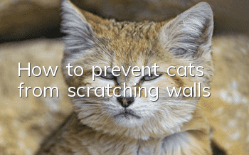 How to prevent cats from scratching walls