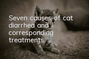 Seven causes of cat diarrhea and corresponding treatments?