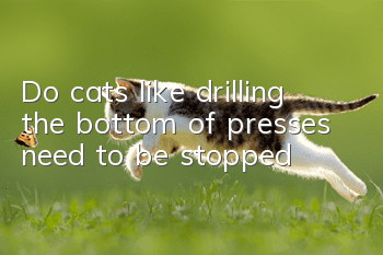 Do cats like drilling the bottom of presses need to be stopped?
