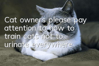 Cat owners please pay attention to how to train cats not to urinate everywhere!
