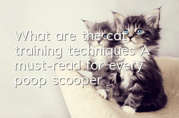 What are the cat training techniques? A must-read for every poop scooper!