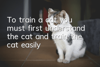 To train a cat, you must first understand the cat and train the cat easily!