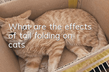 What are the effects of tail folding on cats?