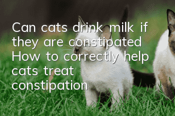 Can cats drink milk if they are constipated? How to correctly help cats treat constipation!