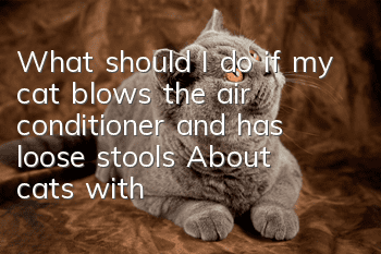 What should I do if my cat blows the air conditioner and has loose stools? About cats with diarrhea and loose stools!