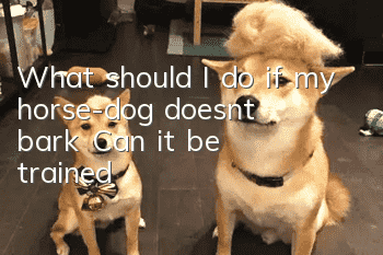 What should I do if my horse-dog doesn’t bark? Can it be trained?