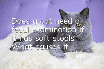 Does a cat need a fecal examination if it has soft stools? What causes it?
