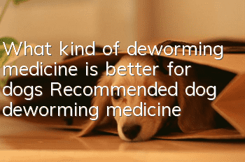 What kind of deworming medicine is better for dogs? Recommended dog deworming medicine!