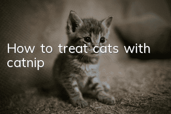 How to treat cats with catnip?