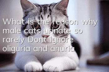 What is the reason why male cats urinate so rarely? Don’t ignore oliguria and anuria!