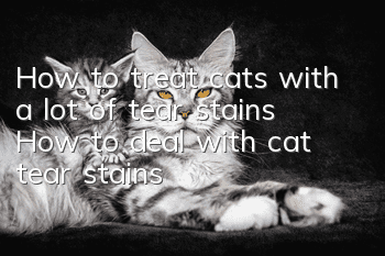 How to treat cats with a lot of tear stains? How to deal with cat tear stains!