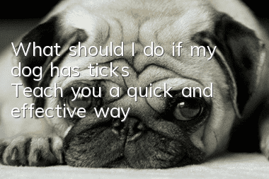 What should I do if my dog has ticks? Teach you a quick and effective way