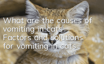 What are the causes of vomiting in cats? Factors and solutions for vomiting in cats!