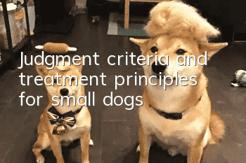 Judgment criteria and treatment principles for small dogs