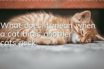 What does it mean when a cat bites another cat's neck?