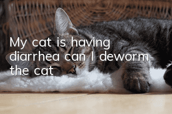 My cat is having diarrhea, can I deworm the cat?