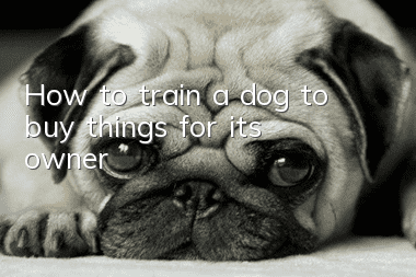 How to train a dog to buy things for its owner
