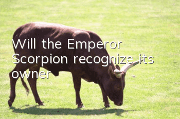 Will the Emperor Scorpion recognize its owner?