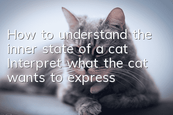How to understand the inner state of a cat? Interpret what the cat wants to express!