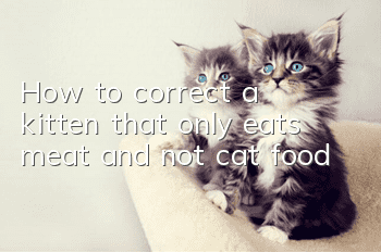 How to correct a kitten that only eats meat and not cat food