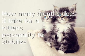 How many months does it take for a kitten's personality to stabilize?