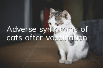 Adverse symptoms of cats after vaccination