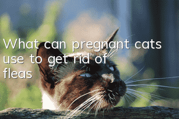 What can pregnant cats use to get rid of fleas?