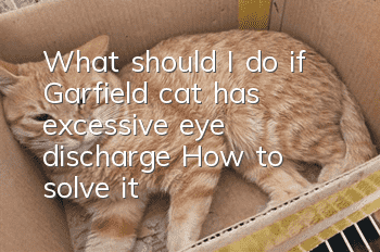 What should I do if Garfield cat has excessive eye discharge? How to solve it?