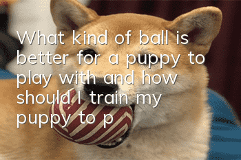 What kind of ball is better for a puppy to play with, and how should I train my puppy to play with the ball?