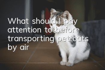 What should I pay attention to before transporting pet cats by air?