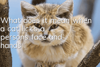 What does it mean when a cat licks a person's face and hands?