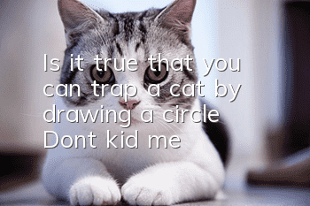 Is it true that you can trap a cat by drawing a circle? Don’t kid me!