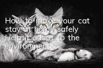 How to make your cat stay at home safely? Help it adapt to the environment!