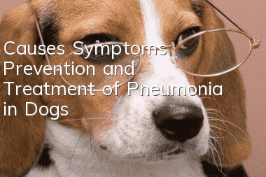 Causes, Symptoms, Prevention and Treatment of Pneumonia in Dogs