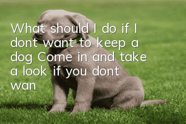What should I do if I don’t want to keep a dog? Come in and take a look if you don’t want to be fined!