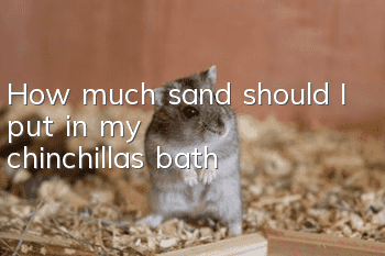 How much sand should I put in my chinchilla’s bath?