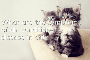 What are the symptoms of air conditioner disease in cats?