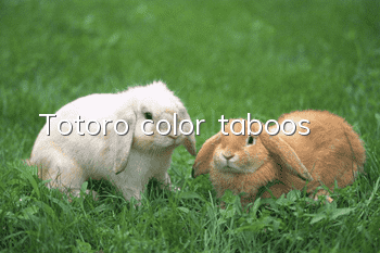 Totoro color taboos